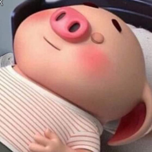 Meet your Posher, Armida - Picture 1 of 1